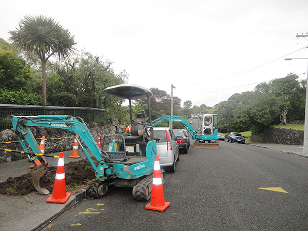 Sunward excavators are popular in New Zealand